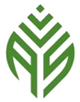 Amplio Services Group logo